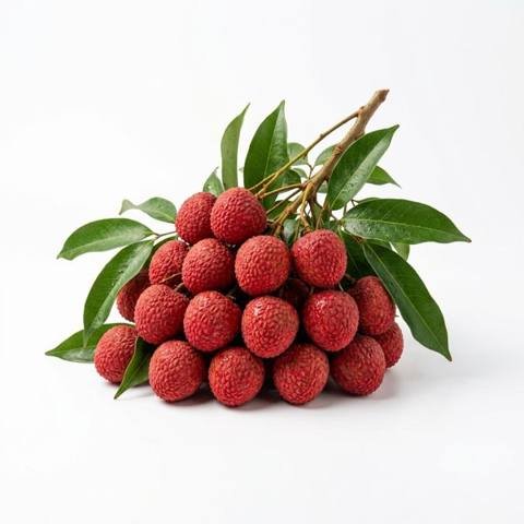 বেদানা লিচু (দিনাজপুরের সেরা)